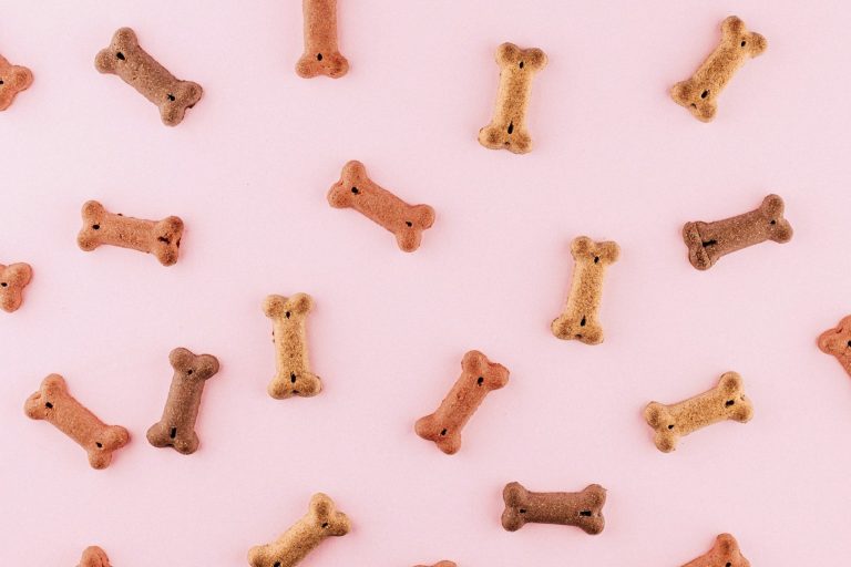Hundefriseur, Hundefrisör, Hundesalon Hundefriseur, Hundefrisör, Hundesalon